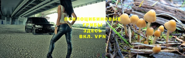 синтетический гашиш Армянск