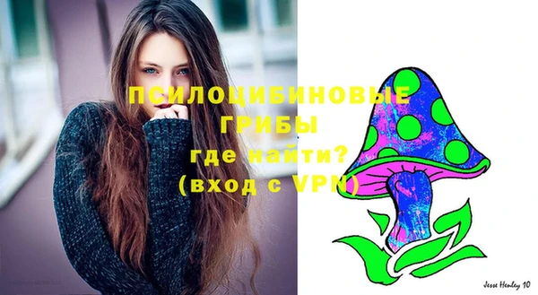 синтетический гашиш Армянск